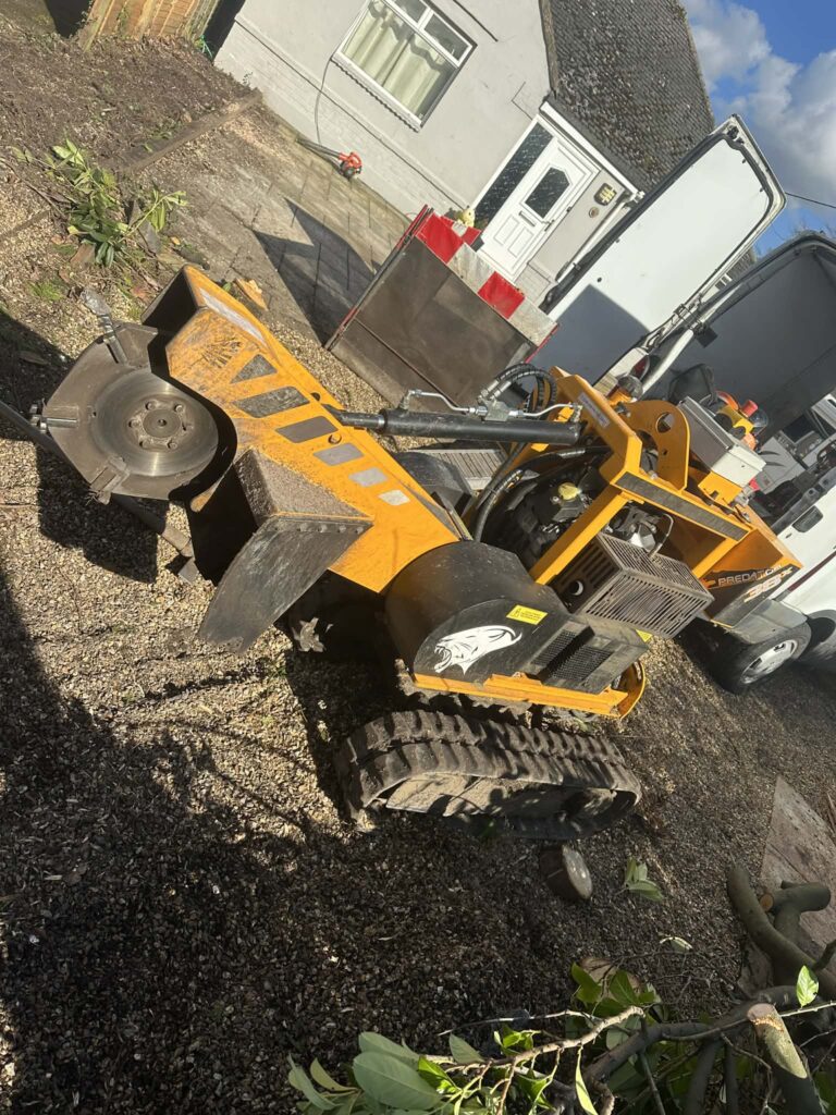 Clearcut Tree Surgery Stump Removal Bournemouth