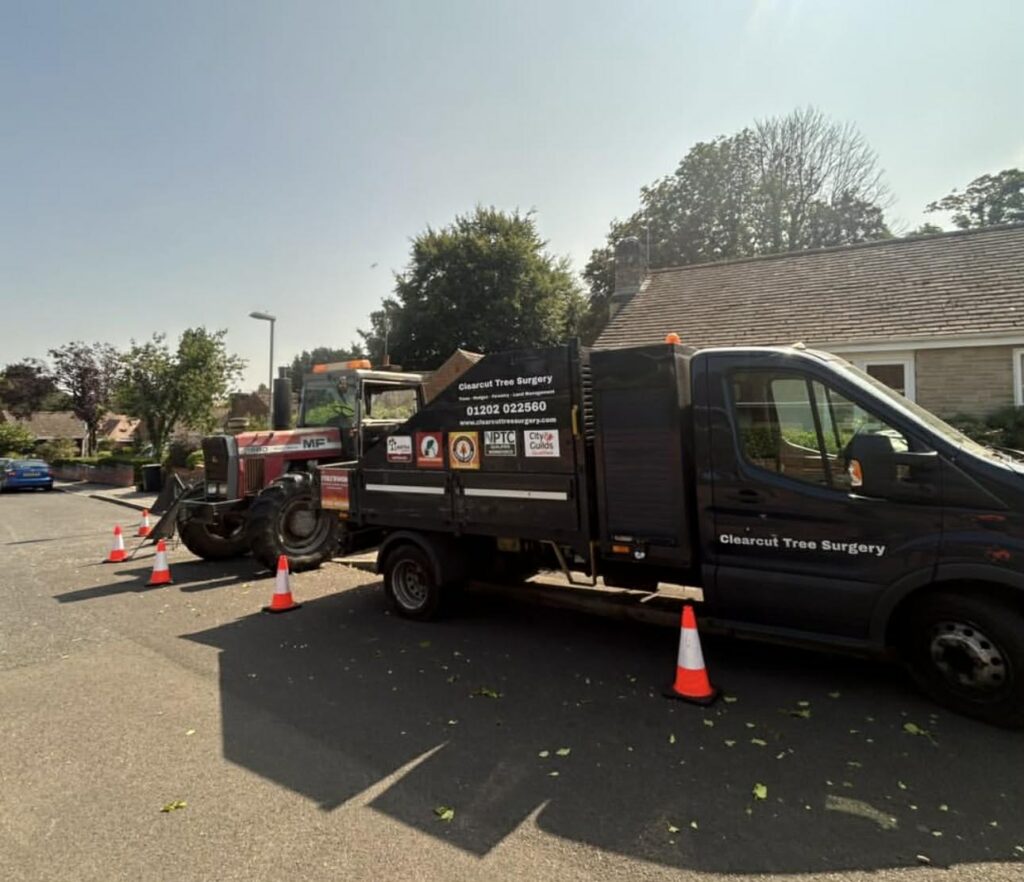 Clearcut Tree Surgery Bournemouth