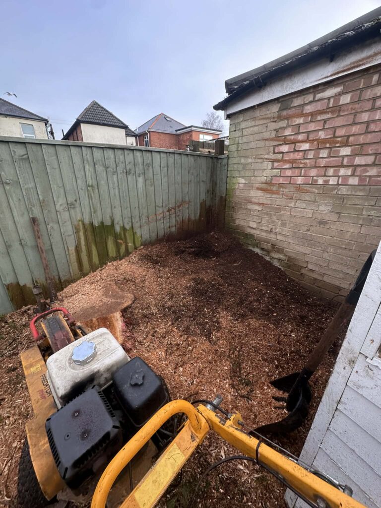 Tree Surgeons Bournemouth Clearcut Tree Surgery Stumps Removal