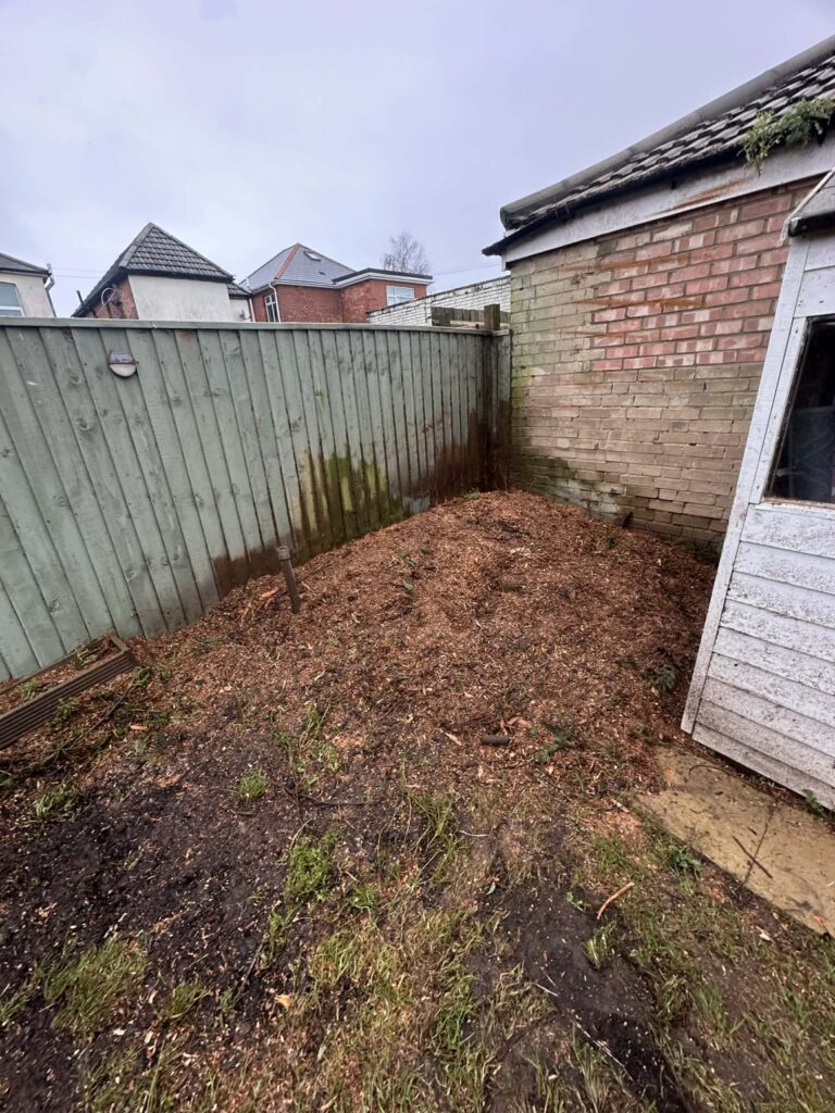 Tree Removal Bournemouth Clearcut Tree Surgery After Picture