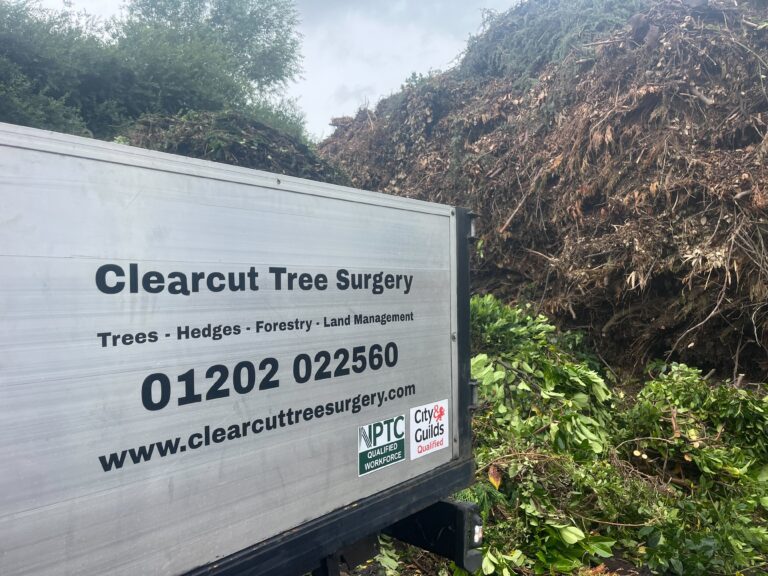 Tree Surgeons In Bournemouth Clearcut Tree Surgery Vehicle